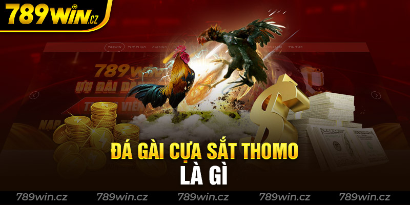 Những thông tin chi tiết giới thiệu đến anh em về đá gà cựa sắt Thomo