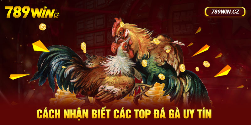 Các cách để nhận biết các top đá gà online uy tín