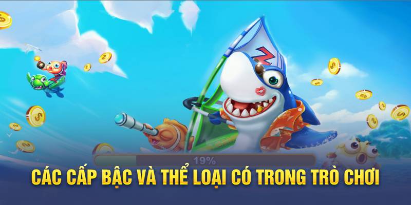 Các cấp bậc và thể loại có trong trò chơi