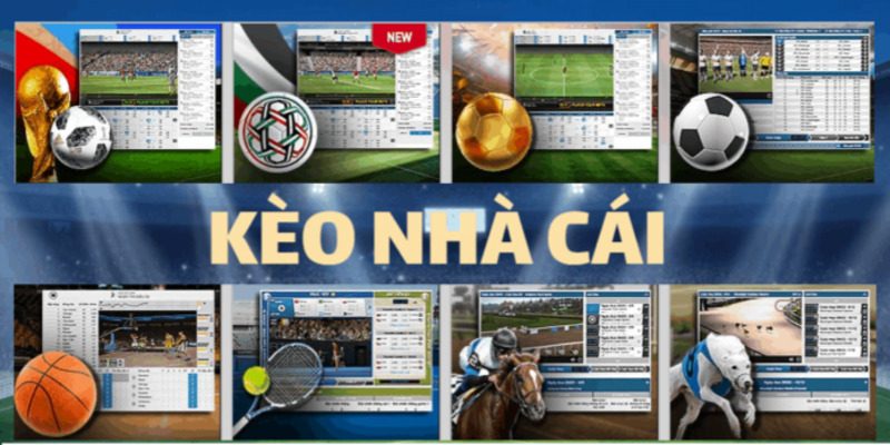 kèo nhà cái phổ biến tại 789win
