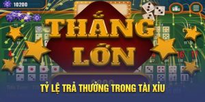 Cách soi cầu tài xỉu ảnh đại diện