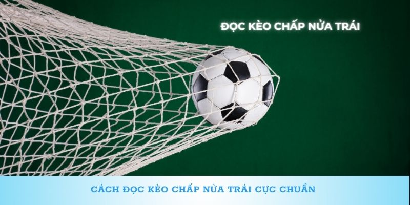 Cách đọc kèo chấp nửa trái 789win