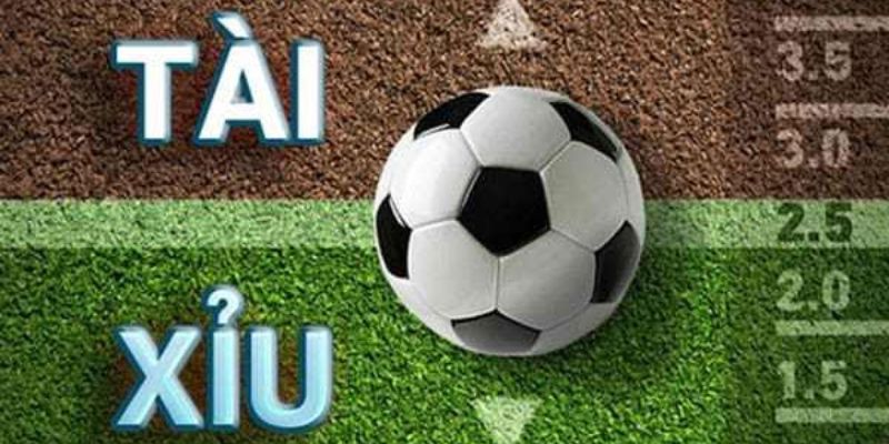 Một vài thông tin khái quát về kèo tài xỉu